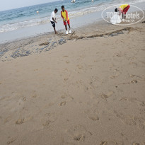 фото из отзыва ID 2733208