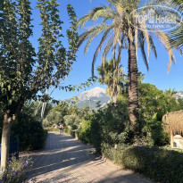 фото из отзыва ID 2733222