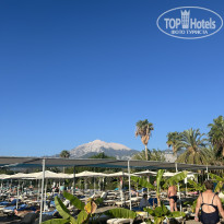 фото из отзыва ID 2733222