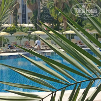 фото из отзыва ID 2733228