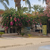 фото из отзыва ID 2733228