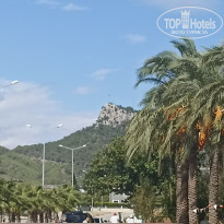 фото из отзыва ID 2733228