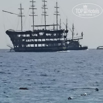 фото из отзыва ID 2733228