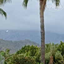 фото из отзыва ID 2733228