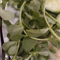 фото из отзыва ID 2733228