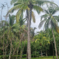 фото из отзыва ID 2733227