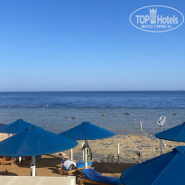 фото из отзыва ID 2732231