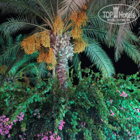 фото из отзыва ID 2733228