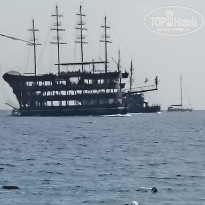 фото из отзыва ID 2733228