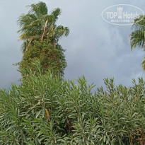 фото из отзыва ID 2733228