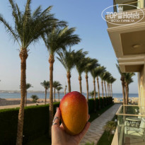 фото из отзыва ID 2733247