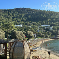 фото из отзыва ID 2733254