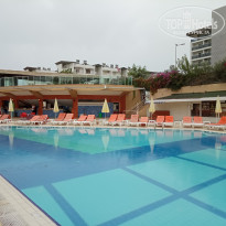 фото из отзыва ID 2733238