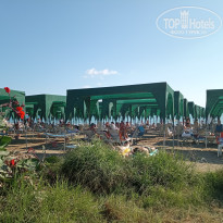 фото из отзыва ID 2733238