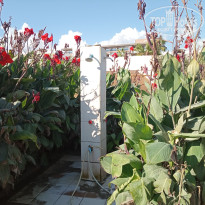 фото из отзыва ID 2733238