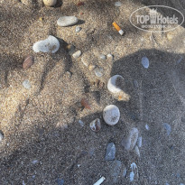 фото из отзыва ID 2733261