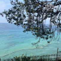 фото из отзыва ID 2733266