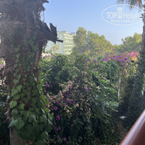 фото из отзыва ID 2733266