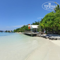 фото из отзыва ID 2733270