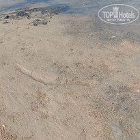 фото из отзыва ID 2733275