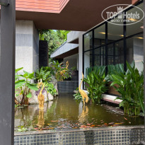 фото из отзыва ID 2733278