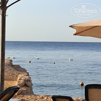 фото из отзыва ID 2733265