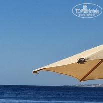 фото из отзыва ID 2733265