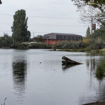 фото из отзыва ID 2733301