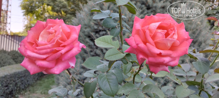 Новые добавленные фото туристов Sultan Bishkek 3*