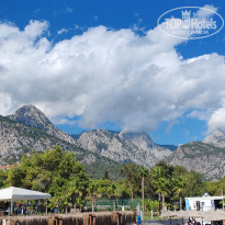 фото из отзыва ID 2733307