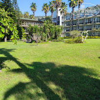 фото из отзыва ID 2733320