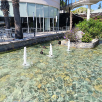 фото из отзыва ID 2733320