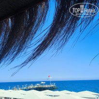 фото из отзыва ID 2733320