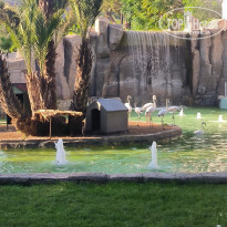 фото из отзыва ID 2733320