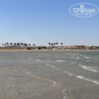 фото из отзыва ID 2733326