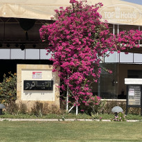 фото из отзыва ID 2733326