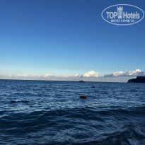 фото из отзыва ID 2733344