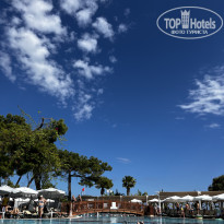 фото из отзыва ID 2733344