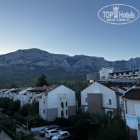 фото из отзыва ID 2733344