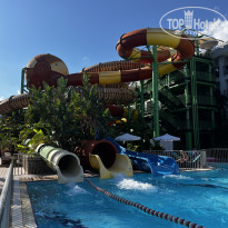 фото из отзыва ID 2733344