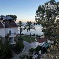 фото из отзыва ID 2733344