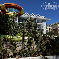 фото из отзыва ID 2733344