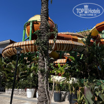 фото из отзыва ID 2733344