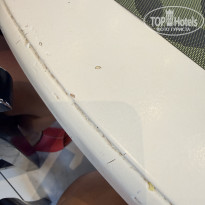 фото из отзыва ID 2733354