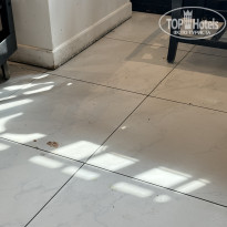 фото из отзыва ID 2733354