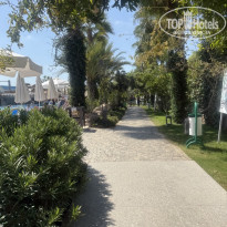 фото из отзыва ID 2733364