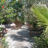 фото из отзыва ID 2733238