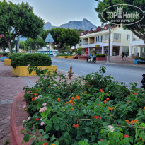 фото из отзыва ID 2733402