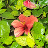 фото из отзыва ID 2733402