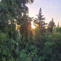 фото из отзыва ID 2733402